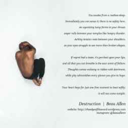 Destruction, a poem by Beau Allen